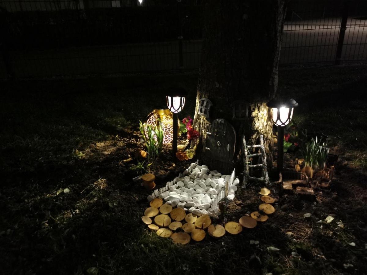 Ferienwohnung Nest 阿尔高的万根 外观 照片
